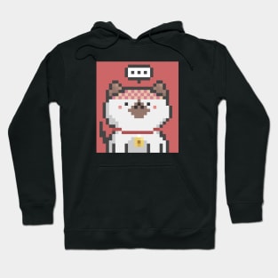 Pixel Cat 123 Hoodie